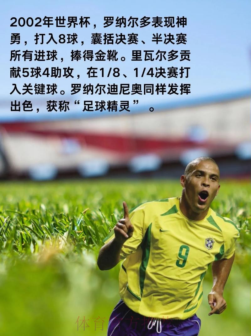 世界杯球队历史表现分析 世界杯球队历史表现分析